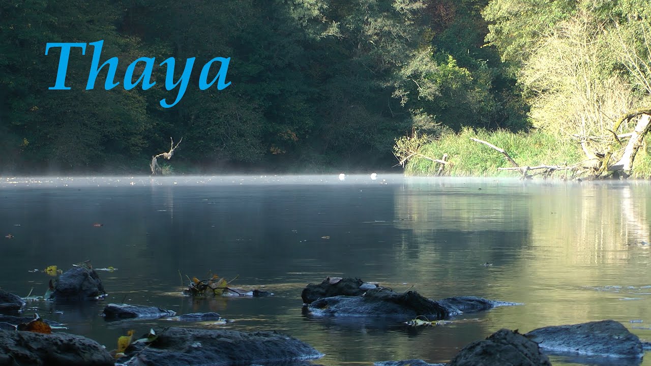 Nationalpark Thayatal / folyóparti túra