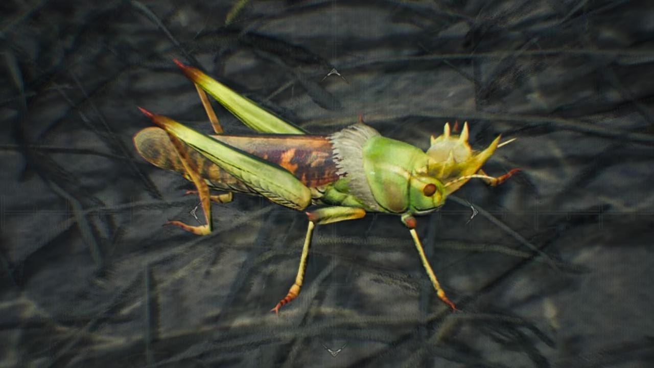 Monster Hunter Wilds Beta: Emperor Hopper Endemic life