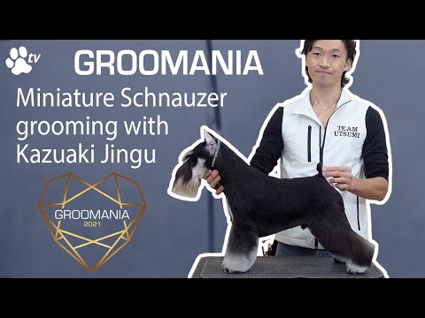 Video: Is schnauzers in die oorlog gebruik?