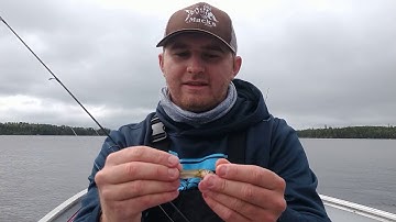 Properly Hooking a Minnow on a Jig