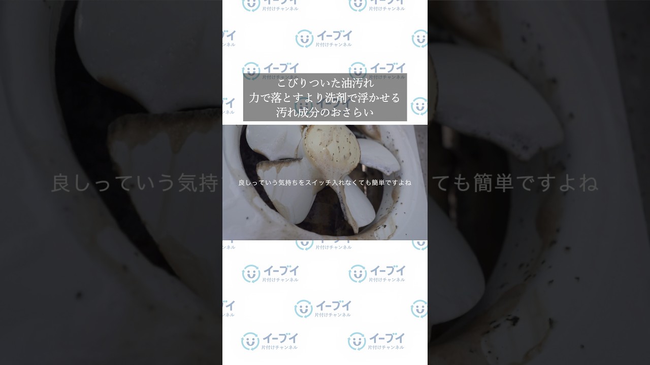 掃除のプロはこすらない！？油汚れを劇的に落とす「放置」テクニック #お掃除のコツ #換気扇掃除 #ながら掃除 #時短家事 #イーブイ