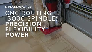 Woodworking Cnc Router With Atc71 Iso30 Spindle Teknomotor Precision & Power