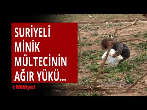 Suriyeli minik mültecinin ağır yükü... Yürek sızlatan anlar...