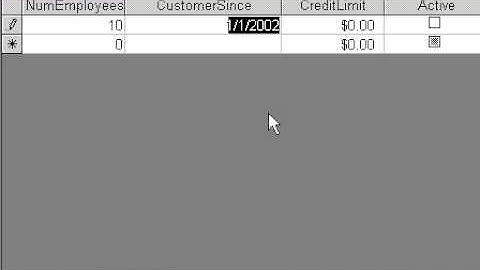 599CD Microsoft Access 101.9