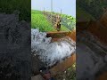 5 hp water pump | 4 inches water pump #water #electrical #waterpump #ytshorts #viral #viralvideo