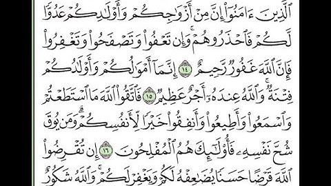 سورة التغابن مكررة الآيات من 14 إلى 18/Surat Al-Taghabun is repeated
