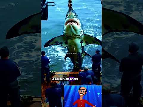 Transparent Kayak Hits Different In Deep Water|GIANT sea creature caught by fishermen🌊🐟 |So close.