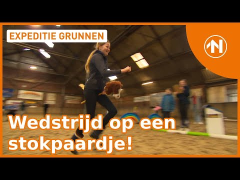 Video: Is een stokpaardje?