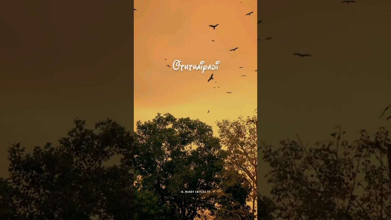 Othaiyadi Pathayila Song Whatsapp Status Lyrics anirudh kanaa 