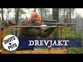 KLÖVVILT I FARTEN - Lubbe är på drevjakt i detta viltrika landskap [Eng. sub]