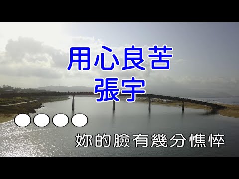 【KARAPAPA】張宇 - 用心良苦《Midi伴奏 卡拉OK KTV KARAOKE》 男聲F