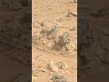 Perseverance Rover Clip 316 😀 😍 #mars #shortvideo #shorts #youtubeshorts #nasa credit nasa.jpl.gov