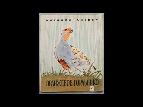 Аудиокнига Оранжевое Горлышко Виталий Бианки