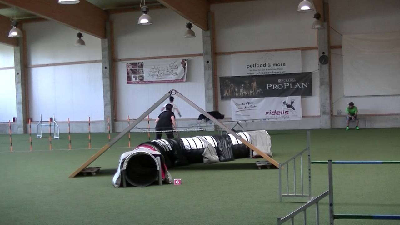 Endquali2016 Flynn 2  A Lauf