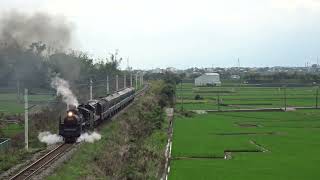 6793次 2026經典蒸汽X解憂藍皮 CT273 池上=富里 2026/3/29