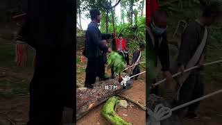 中國最美的20個地方#旅行推薦官 #旅遊攻略 #旅行大玩家 #旅行 #治癒系風景