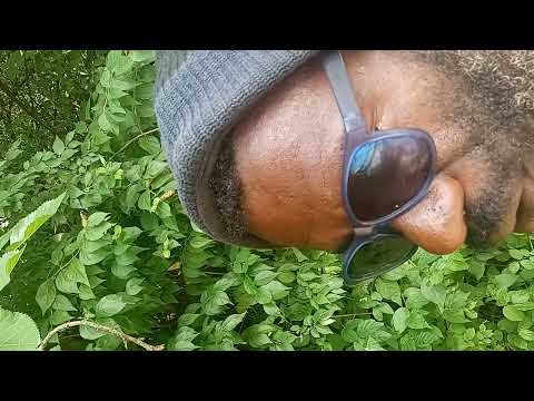 Ra Imhotep / Self Styled Jail Episode 2