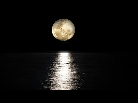 Chan te channi voice over