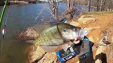 INSANE Pre-Spawn CRAPPIE Fishing From The BANK‼️ CRAPPIE Limit With DOUBLE JIG RIG‼️