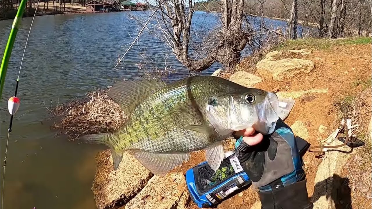 INSANE Pre-Spawn CRAPPIE Fishing From The BANK‼️ CRAPPIE Limit With DOUBLE  JIG RIG‼️ 