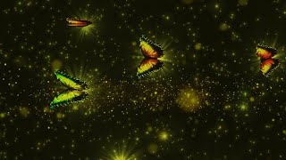 butterfly motion background video free no copyright | black screen effect video | star effect video