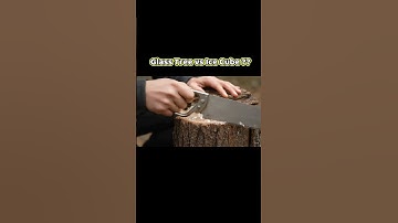 Glass Tree vs Ice Cube| Which Cuts Better?? #asmr #shorts #ai #asmrshorts