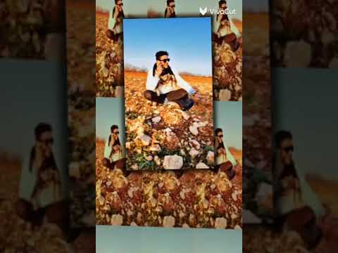 مايموت الحب في قلب المحب ولا يموت الشوق لو طال الغياب م شوقيہي ابو جرناس