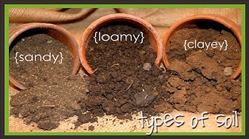 Types of Soil - Soil || Chapter 9 || Class 7