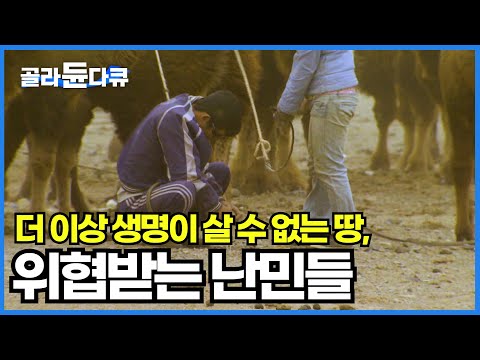 모래바람에 자취를 감춘 강물, 말라비틀어진 가축과 나무들│눈을 녹여 식수로 사용하는 열악한 사막 난민의 생활│지구 온난화│몽골 사막화│하나뿐인 지구│#골라듄다큐