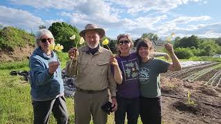 Plant the garden with us! | Kearsarge Food Hub & FEED Kearsarge