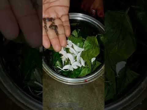 Pasaruni Ptra Ra Upakara Youtube Viralvideo 