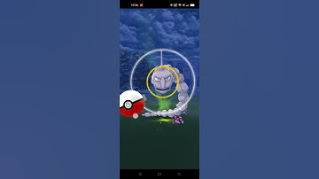 Catch Onix (Field Research)