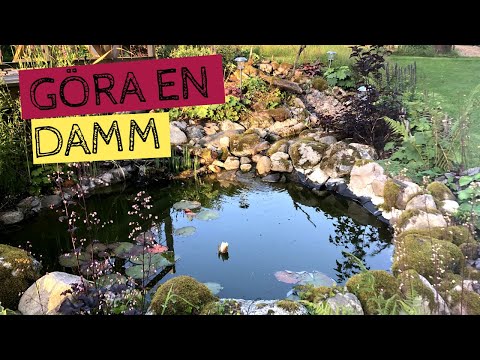 Video: Hur Man Gör En Damm