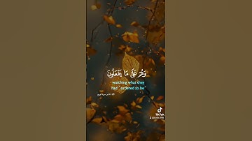 القرآن الكريم قرآن يتلى آناء الليل وأطراف النهار تلاوة خاشعة أرح سمعك بآيات من الذكر الحكيم