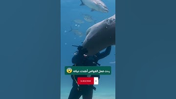 سورة الأعراف ماهر المعيقلي