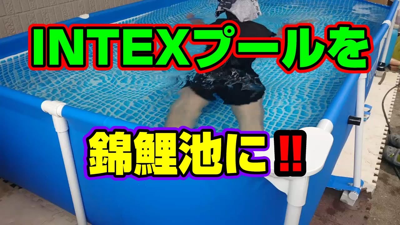 汚池再生計画】『INTEXプール』を錦鯉が飼育できる池に、『魔改造 