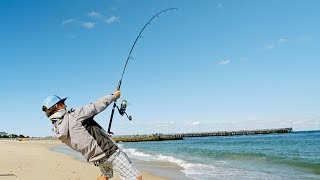 Searching For A Big Shark From Land