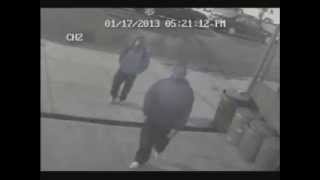 83 Pct- Petit Larceny