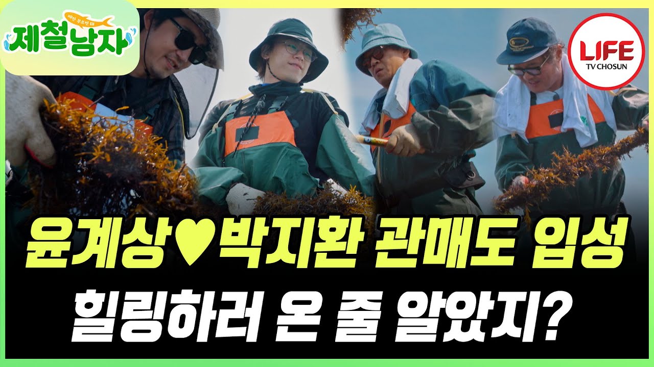 [#제철남자] 힐링하러 왔던 윤계상♥박지환 끌려가다?! 차민우♥김상호와 함께 톳 캐러 가세🎶 (TV CHOSUN 250704 방송)