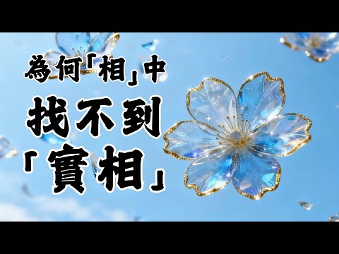 17 - Q&A｜圓通寺 道源法師 禪修開示 第65堂 20240609