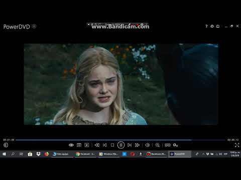 Opening To Bears 2014 DVD 