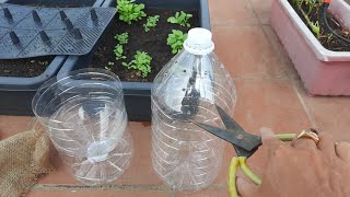Growing fresh vegetables with a 5 liter bottle recycling used - Growing Vegetables Terrace by Hướng Dẫn Cắm Hoa 5,394 views 3 years ago 8 minutes, 13 seconds