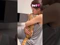 パパから見たママと超甘えん坊の猫がラブラブすぎて悲しい【とらまる】