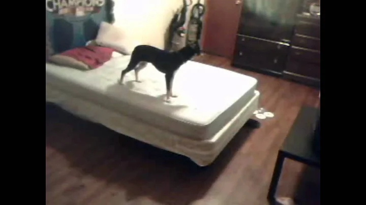 proof my house is haunted