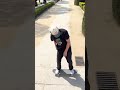 Jost Arens Quick Hits In Barcelona!