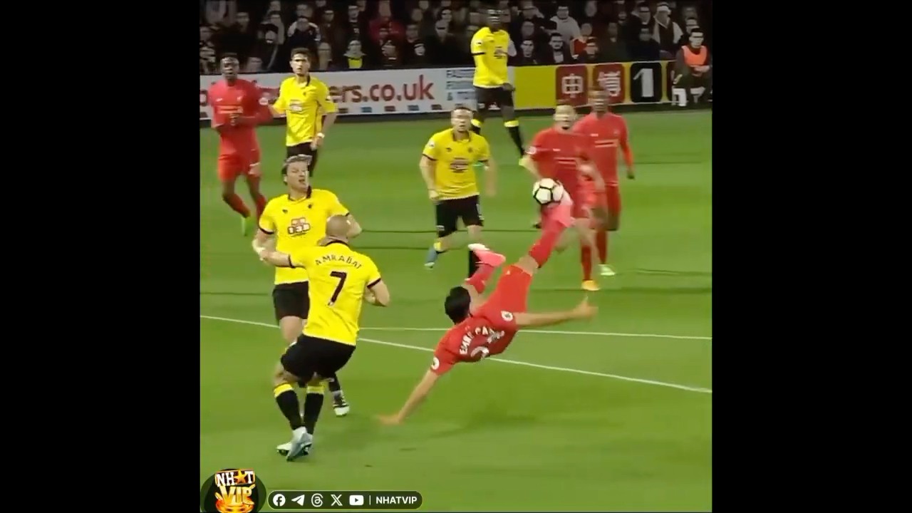 Wonder Goals you will like. 