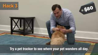 Famous 4 Smart Devices for the Pet Lover | HomeAdvisor - Smart Home Hacks Net Worth