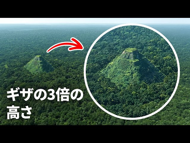 なぜ誰もアマゾン熱帯雨林の巨大なピラミッドについて話さないのか