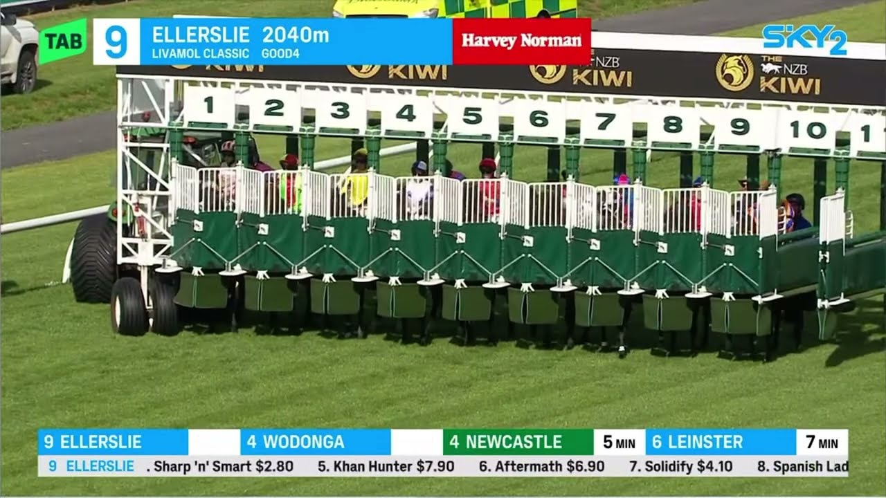 WAITAK побеждает в G1 Livamol Classic