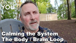 Calming The System - The Body Brain Loop